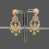 Women's Zircon Earrings – Silver & Gold Tone – Rs. 2650